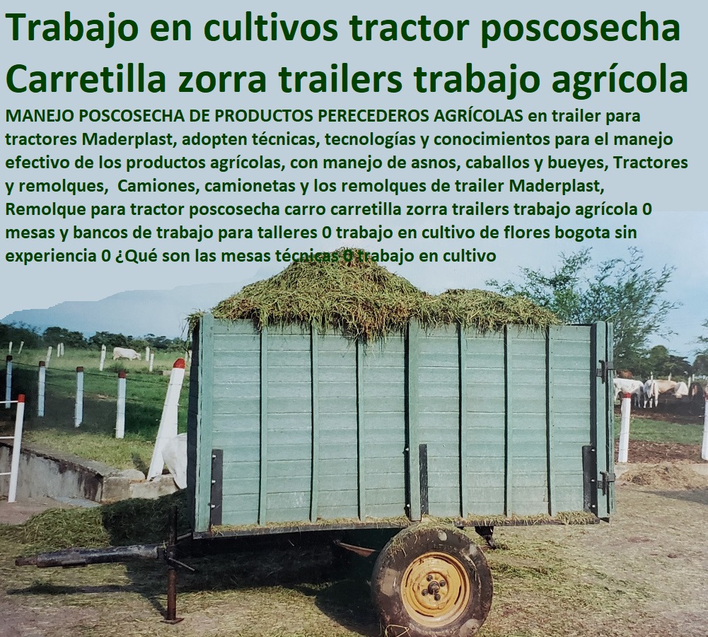 Instalaciones Equipos Ganado de Carne Maderplast Saladero Comedero Remolques 0 Cómo Hacer Sales Minerales Para Ganado 0 Equipo Para Ganado Maderplast 0 Nueva Henificadora Para Remolque Maquinaria 0 Instalaciones y Equipo ganaderos Instalaciones Equipos Ganado de Carne Maderplast Saladero Comedero Remolques 0 Cómo Hacer Sales Minerales Para Ganado 0 Equipo Para Ganado Maderplast 0 Nueva Henificadora Para Remolque Estabulación de Ganado, Pastoreo Intensivo, Establos, Corrales, Saladeros, Comederos, Cerramientos, Postes, Ganaderías Tecnificadas, Ganaderías Tecnificadas, Explotación Ganadera Automatizada, Sistemas de Pastoreo, Maquinaria 0 Instalaciones y Equipo ganaderos